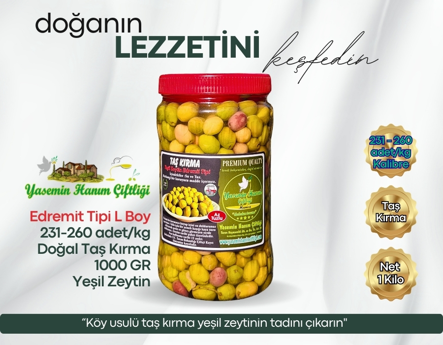 Taş Kırma Yeşil Zeytin – Edremit Tipi L Boy – 1 Kg (231–260 adet/kg)