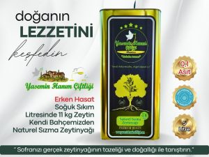 Banmalık çeşidi, erken hasat, soğuk sıkım, 0,25% asitlikli Natürel Sızma Zeytinyağı – 5 L ambalaj. Çiğ tüketim için uygun, %90 yeşil meyve içerikli.