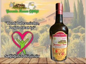 0,1 Asit Erken Hasat premium Zeytinyağı 500ml ihracattan