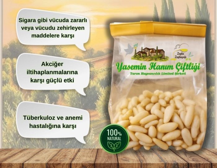 Organik Çam Fıstığı (Künar) 50gr. - Görsel 2