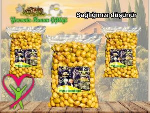 Taş Kırma Yeşil Zeytin Edremit Tipi 3x1 Kg