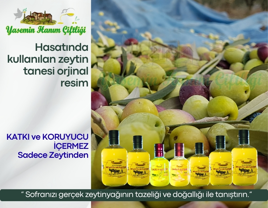 Erken Hasat Zeytinyağı