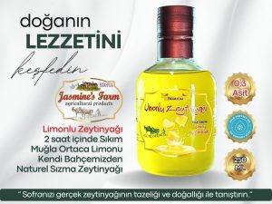 Limonlu Zeytinyağı