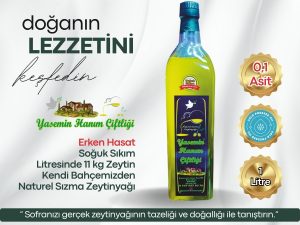 yeni hasat zeytinyağı, natürel sızma, soğuk sıkım, erken hasat zeytinyağı, Banmalık, %90 yeşil meyve, çiğ tüketim için zeytinyağı, 5 litre, kaliteli sızma zeytinyağı, doğal zeytinyağı