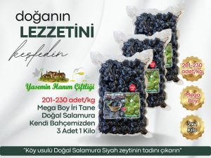 “Köy usulü Doğal Salamura Siyah zeytinin tadını çıkarın"