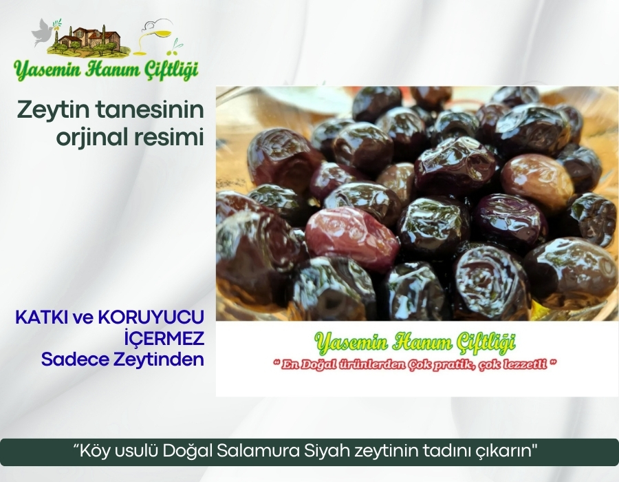 “Köy usulü Doğal Salamura Siyah zeytinin tadını çıkarın"