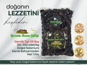 Gemlik siyah zeytin