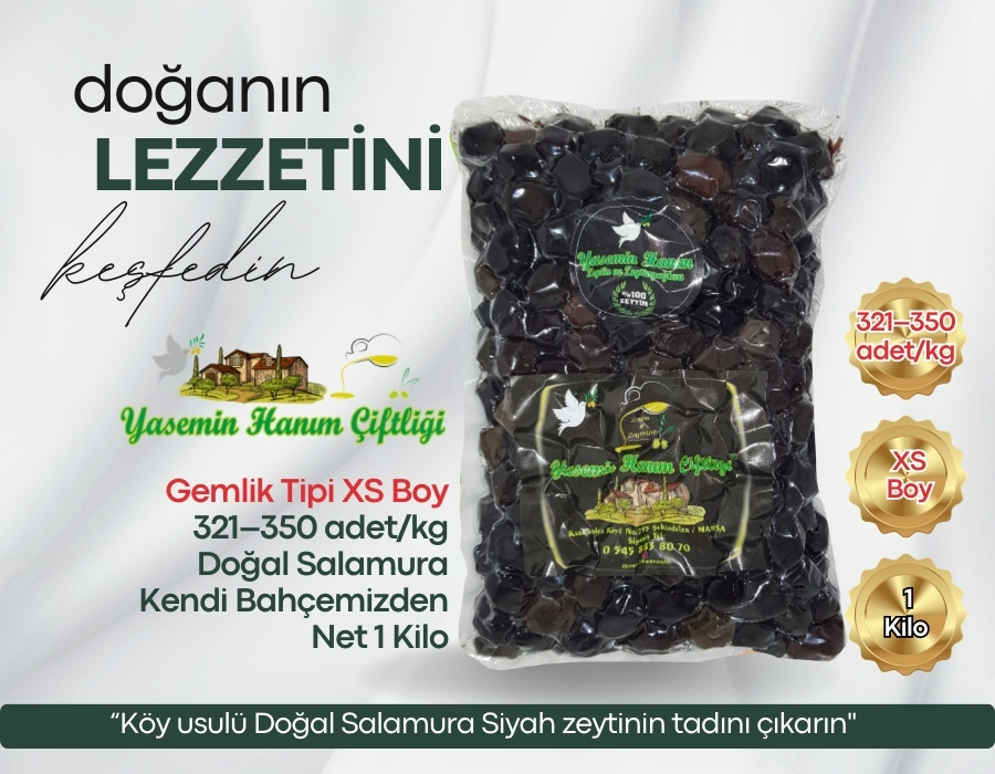 Gemlik siyah zeytin