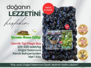 Az tuzlu Gemlik tipi siyah zeytin Vakumlu