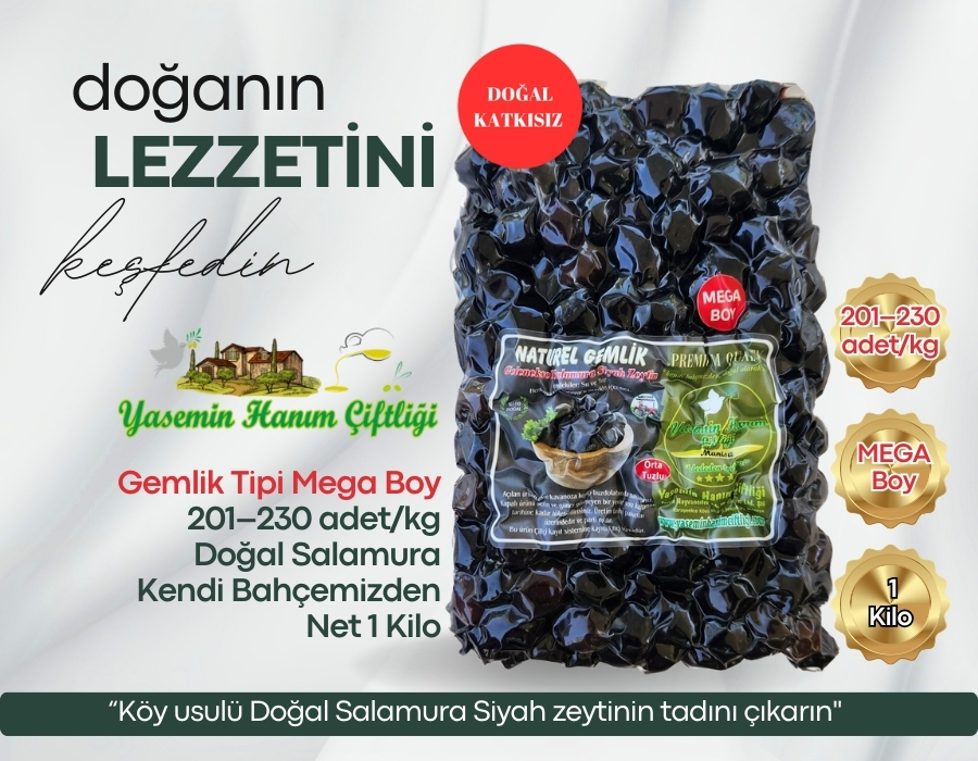 Az tuzlu Gemlik tipi siyah zeytin Vakumlu
